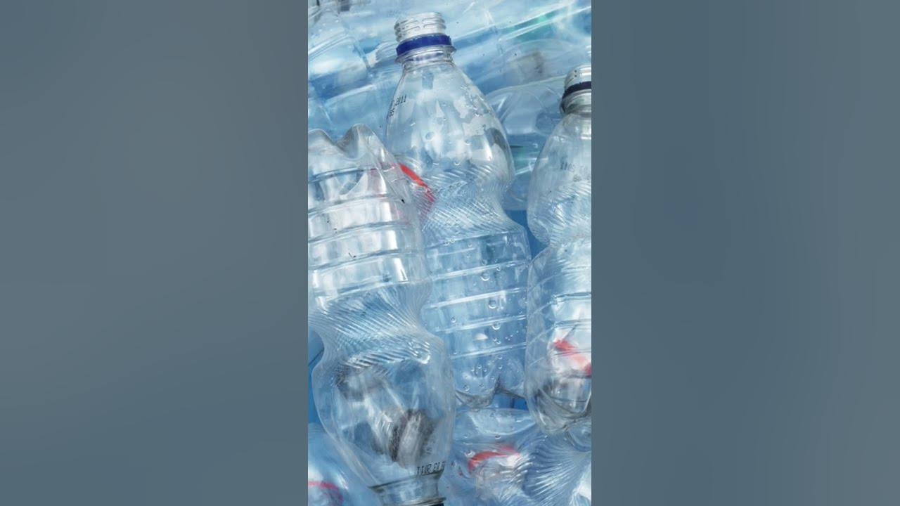how-much-water-bottles-do-you-think-are-in-my-room-trend-funny