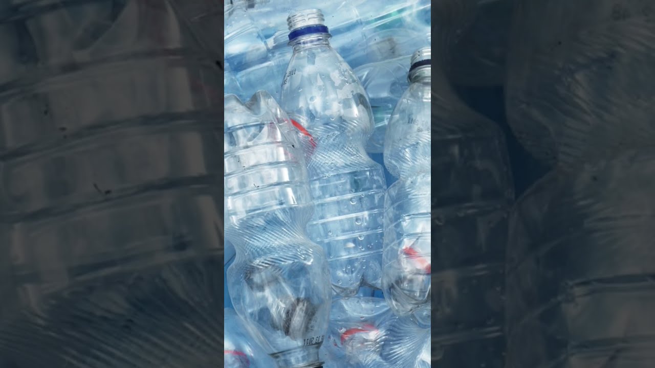How Much Water Bottles Do You Think Are In My Room trend funny How Much Water Bottles Do You Think Are In My Room trend funny