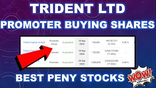 TRIDENT LTD LATEST UPDATE\/ Trident ltd stock review \/ KNOW THIS BEFORE INVESTING