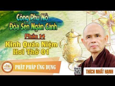 Video Công Phu Nở Đóa Sen Ngàn Cánh 14: Kinh Quán Niệm Hơi... - youtube