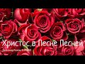 "Христос в Песне Песней". А. Рыжов. МСЦ ЕХБ