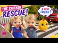 Barbie - The Chicken Rescue | Ep.527