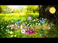 Relax music instrumental   relax music for stress relief  4 hours relax music for sleeping