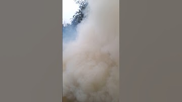 wait for the and # short # shortvidei # shortfeed