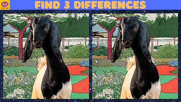 [Find the Difference] Puzzle Game - Part 181