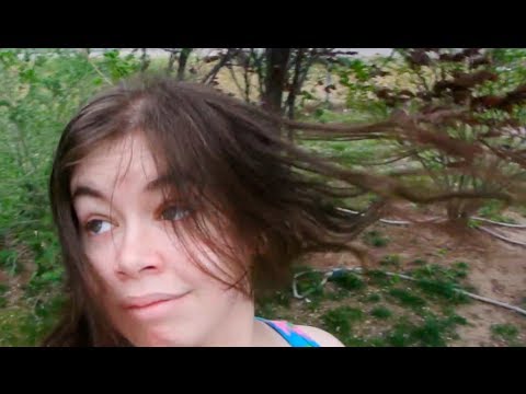 ima willow 12 lyrics i wanted to write a song for you nichole 337 whip my hair