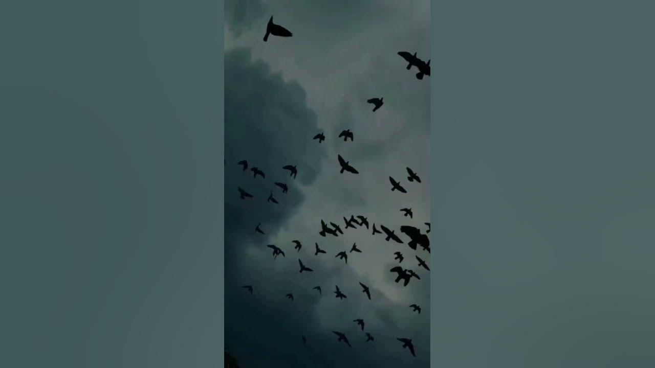 Coldplay X Lindsey Stirling - Hymn For The Weekend X Carol of the Bells|Slowed|#shorts #coldplay