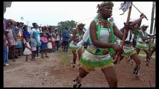 Amabhubesi Traditional Dancers from KwaBhaca, emgidini eGcuwa - iChwane leBhaca, Babanga ilifa