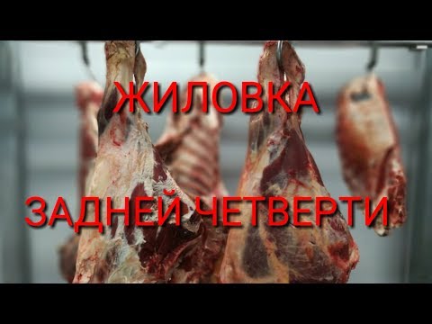 Жиловка говядины видеоурок