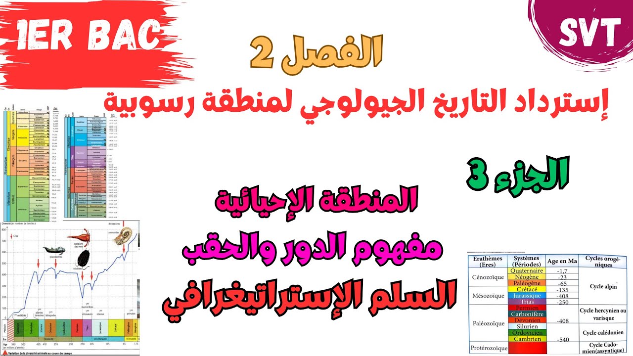 أولى باك| إسترداد التاريخ الجيولوجي لمنطقة رسوبية | الحصة 2: الوحدة الإستراتيغرافية والدورة الرسوبية