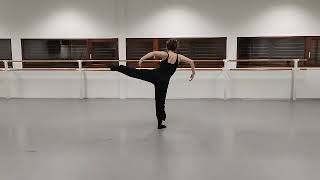 Solo Endless - Audition For Internship 20262027 Scapino Ballet Rotterdam