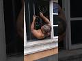 They Caught The Thief Inside The House See What They Did To Him 亞 They Caught The Thief Inside The House See What They Did To Him 亞
