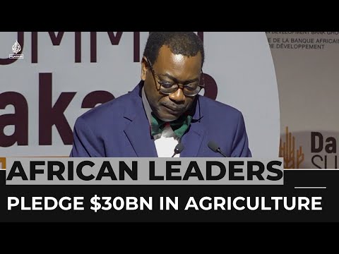 African leaders pledge $30bn in agriculture to tackle hunger crisis