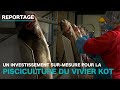 Ref:E__4xRXFS-U Un investissement sur mesure pour la pisciculture du vivier kot