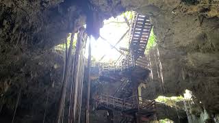 Cenote Maya by The Austin School 2,041 views 2 years ago 1 minute, 17 seconds