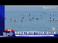 氣溫上看36度就是要玩水! 小琉球湧入滿滿戲水人潮｜TVBS新聞 @TVBSNEWS01