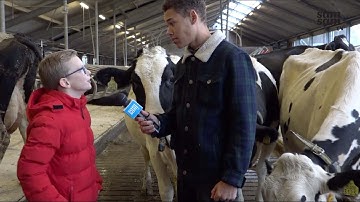 Robots op de melkboerderij