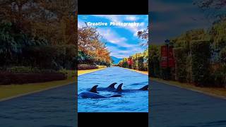 Creative photos of turning roads into rivers #creative #Picture tutorial #edit #shorts #picsart #ai Creative photos of turning roads into rivers #creative #Picture tutorial #edit #shorts #picsart #ai