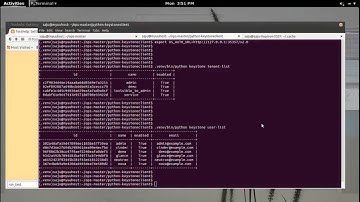 Setting Up OpenStack Python Client Development Environment