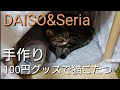 100円グッズで猫の秘密基地作ってみました