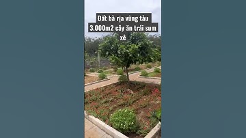 Làm ăn khó khăn đành bán nhà đất vườn nghĩ dưỡng cây ăn trái sum xê bà rịa vũng tàu #shorts