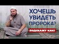 Хочешь увидеть Пророка? Подскажу как!