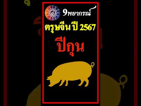 ปีกุน / ดวงหลังตรุษจีน ปี2567 #ปีกุน #ดวง #ดูดวง #ทำนายดวงปี 2567 #ดวงชะตาปี 2567