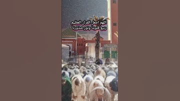 سورة الزمر بصوت القارئ محمد الجلالي تلاوة ماشاءالله 💯❤️.                      #سورةالزمر