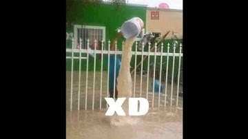 😂 Si te ríes pierdes 😂 #164 (Momentos XD)