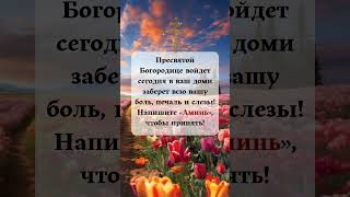 Пресвятой Богородице войдет сегодня в ваш доми заберет всю вашу боль