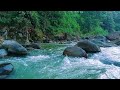 Stay Calm and Relaxed with River Sounds and Birdsong