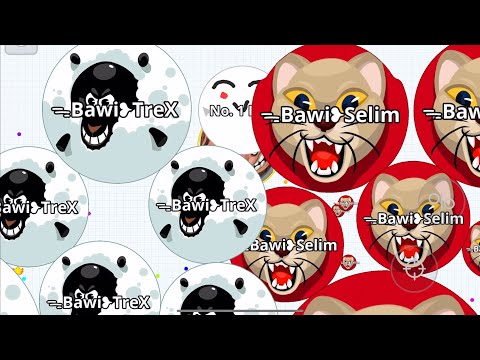 WAIT FOR IT💀 DESTROYING CLAN (AGARIO MOBILE)