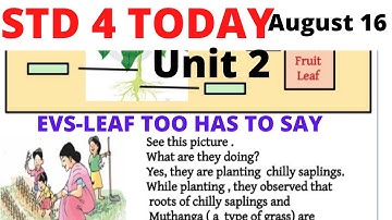 FIRST BELL 2.0 STD 04 Environmental studies Class 07