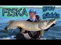 FISKA - Grov gädda på McPike (12,4 kg)