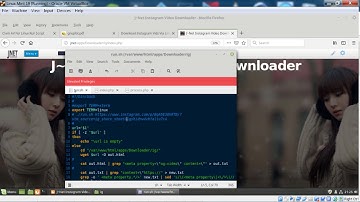 Download Instagram Videos Via PHP Script Example