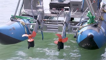 Uni-Cat, A Unique Group USV