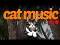 Cat music live  247 sleep music for cats playlist  classical and calming sounds