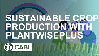 Sustainable crop production with PlantwisePlus
