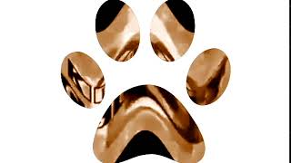 Sad Klasky Csupo In Pawprint Major