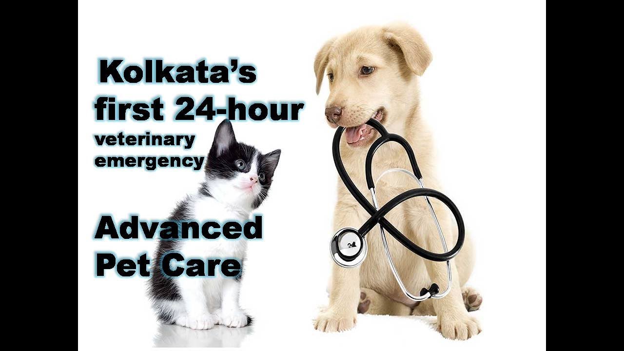 Kolkata's first Advanced Pet Care # 24-hour veterinary ...
