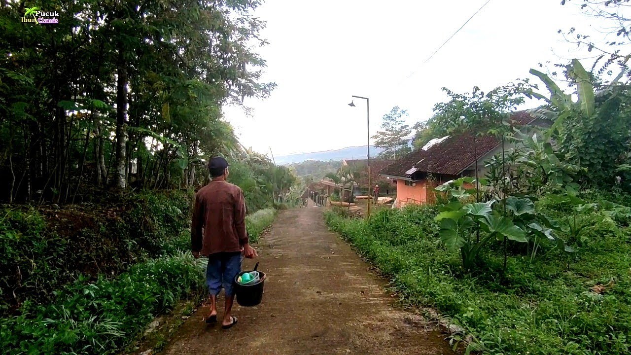 Pagi Yg Tenang Bikin Rindu Pulang Kampung Suasana Pedesaan Begitu Damai