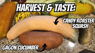 😳 The Harvest Was Great... But Would I Eat Them Again?