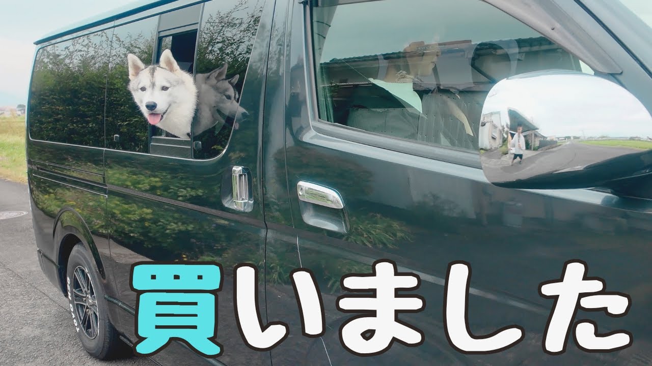 愛犬のシベリアンハスキーでもゆったり乗れる車を買ってＤＩＹしてみた♪