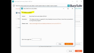 Upgrade Burp Suite version in Linux( Kali)