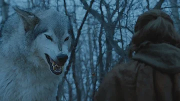 ¿Sigue vivo el lobo huargo de Arya Stark?