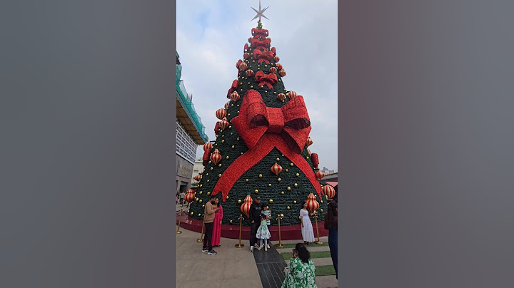 Xmas 🎄 song Jingle bell #song #xmas #music #shorts