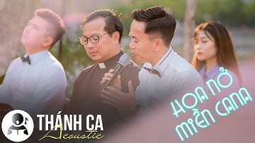 HOA NỞ MIỀN CANA | THÁNH CA ACOUSTIC | TUỔI TRẺ - TÌNH YÊU - GIA ĐÌNH