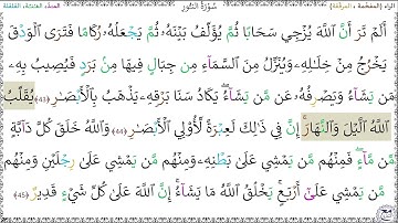 سورةُ النُّورِ (43 - 45) خليفة الطنيجي