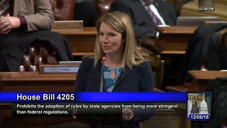 Rep. Donna Lasinski Opposes HB 4205