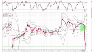 Best Stock Charts | Are Momentum Stocks Diverging?